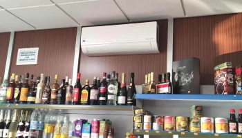 Alimentación Lola - 85