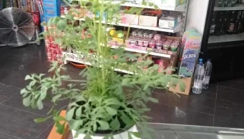 Alimentación Y Bazar - Ciempozuelos