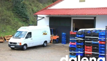 Almacén de Frutas Valeriano Flores - Béjar