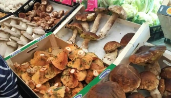 ¡Ay Madre! La Fruta - Colmenar Viejo