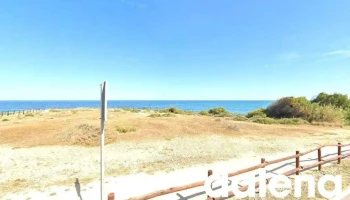 CoAliment - Playa Romana