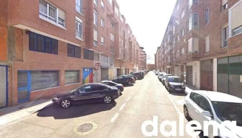 Dilan - Palencia
