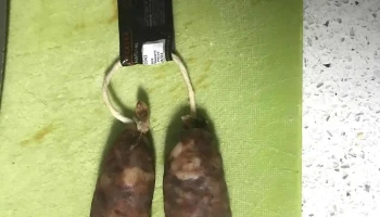 Embutidos Briones Sl - 2