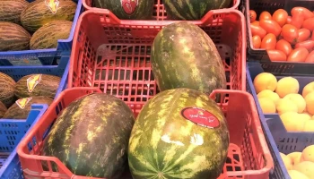 Frutas Tardaguila - Salamanca