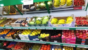 Fruteria y Alimentacion 