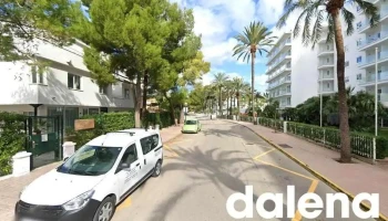 Glocal Ananás | Alcúdia - 07400 Alcúdia