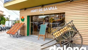 Hort de sa Vall Botiga Porto Cristo - 50