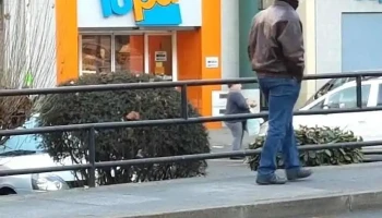 Lupa Supermercados - Zamora