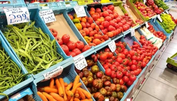 Shillong Fruteria - 31