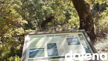 Sociedad Cooperativa Madrileña los Apisquillos - Puebla De La Sierra