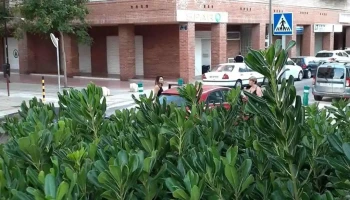 Spar Supermercado - 7