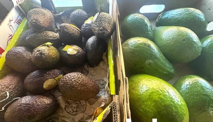 Chao Shi Supermercado Alimentacion Buena Suerte Productos Asiaticos Latinos Africanos Numero - Torrejón de Ardoz
