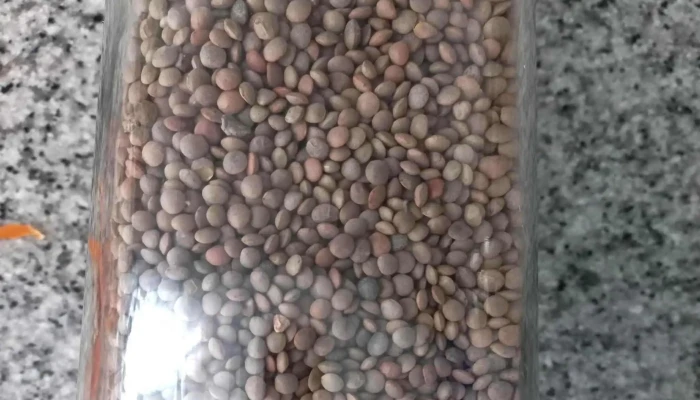 Agropal Grupo Alimentario -  Cerca De Mi - Palencia