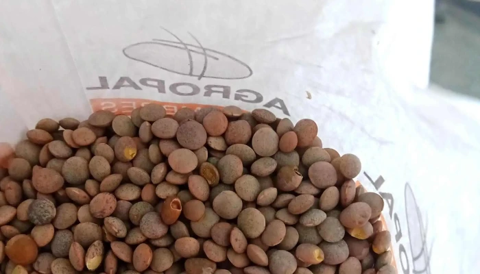 Agropal Grupo Alimentario -  Direccion - Palencia