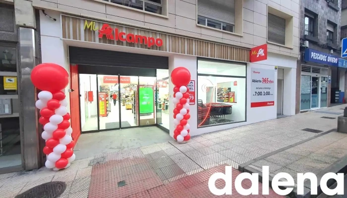 Alcampo Supermercado -  Del Propietario - Oviedo