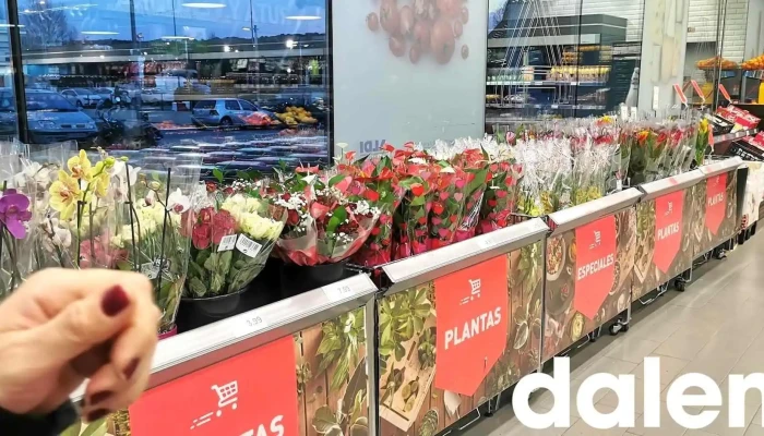 Aldi -  Interior - Collado Villalba