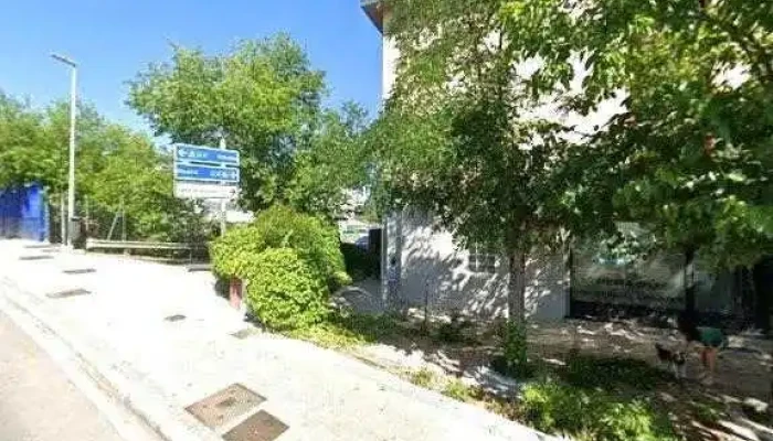 Alimentacion Bazar -  Zonadeg - Las Rozas de Madrid