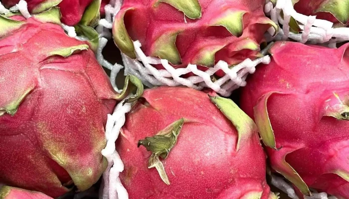 Alimentacion Julio Fruteria Y Jamoneria Del Propietario - Zamora