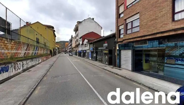 Alimentos El Arco, S. A. - Langreo