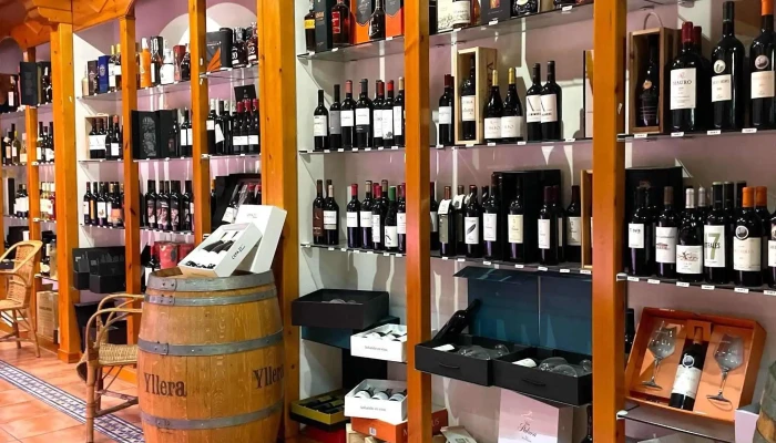 Arte Sano - Palencia