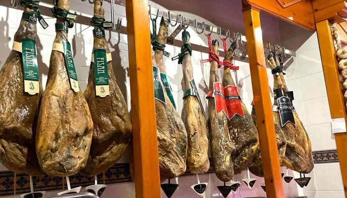 Arte Sano -  Videos - Palencia