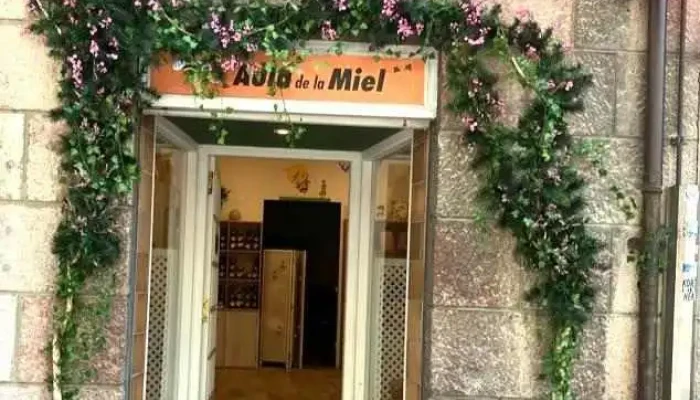 Aula De La Miel De Los Picos De Europa -  Del Propietario - Cangas de Onís