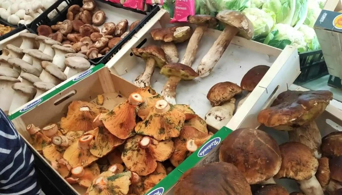¡Ay Madre! La Fruta - Colmenar Viejo