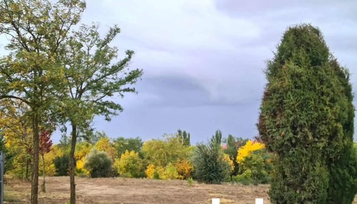 Ayuntamiento De Parada De Rubiales -  Paisaje - Parada de Rubiales