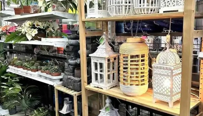 Bazar El Álamo - El Álamo