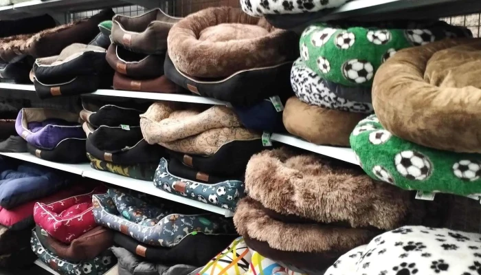Bazar Norena Direccion - Noreña