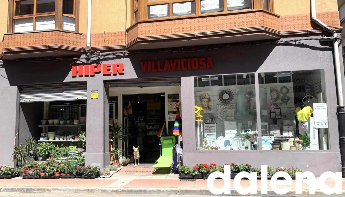 Bazar Villa Hiper Villaviciosa -  Opiniones - Villaviciosa