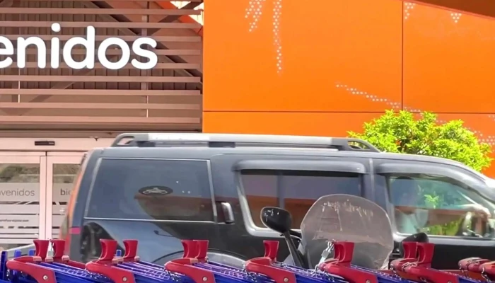 Carrefour -  Catalogo - El Pinar de