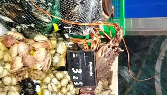 Carrefour Market -  Videos - Madrid