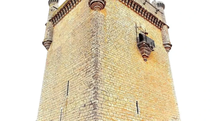 Castillo De Belmonte De Campos -  Arco - Belmonte de Campos
