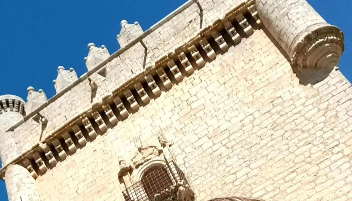 Castillo De Belmonte De Campos -  Sitio Web - Belmonte de Campos