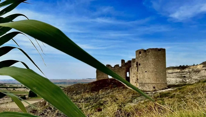 Castillo De Hornillos De Cerrato O De Los Enriquez Catalogo - Hornillos de Cerrato