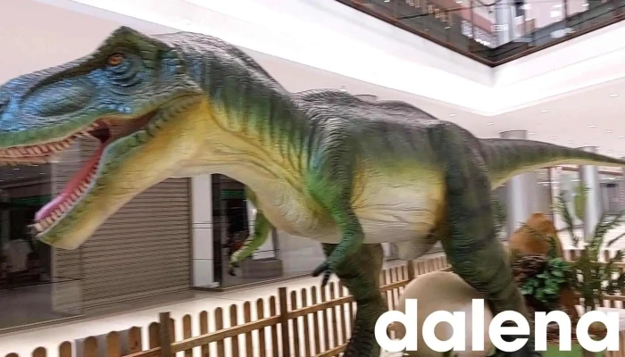 Centro Comercial El Tormes -  Videos - Salamanca