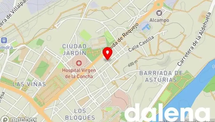 mapa de Coviran Supermercado en Zamora