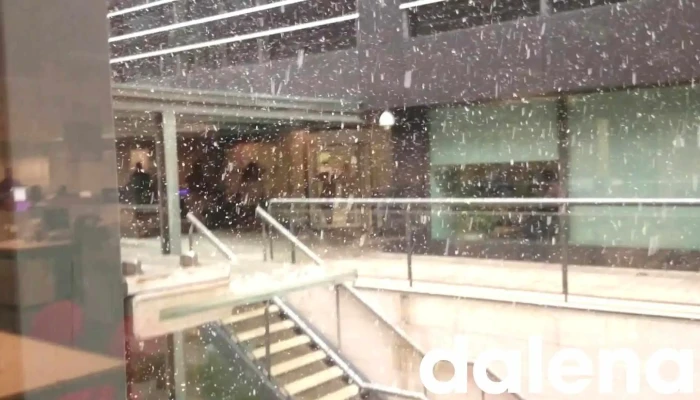 Dia Espana   Oficinas Centrales Videos - Las Rozas de Madrid