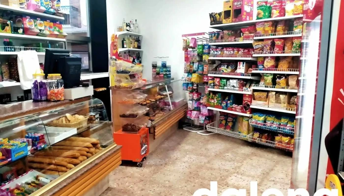 El nou Palau/ nuevo Palacio. 24/7 - 19a