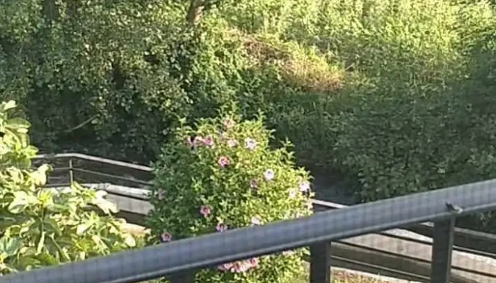 Finca La Fabrica Videos - Villaluenga de la Vega