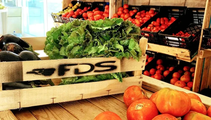 Formentera Delivery Service - 07860 La Savina