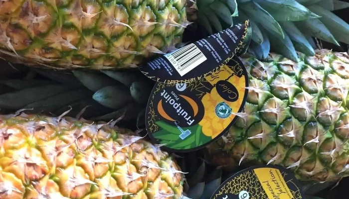 Frutas Y Verduras Primi -  Del Propietario - Becerril de la Sierra