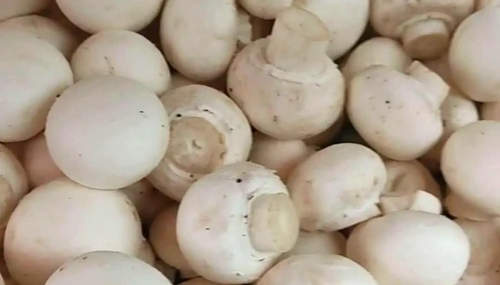Fruteria Lilya Videos - Torrelaguna