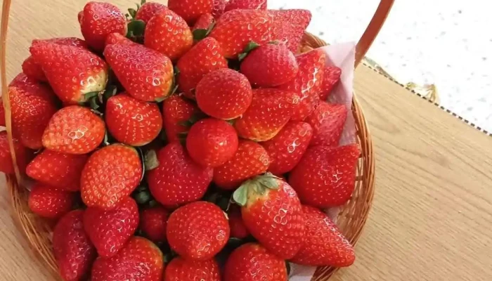 Fruteria Salam -  Del Propietario - San Lorenzo de El Escorial