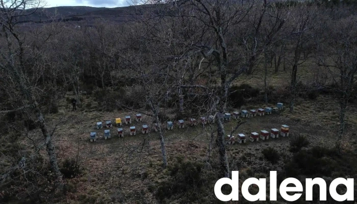 Huerta De Gredos -  Promocion - Becedas