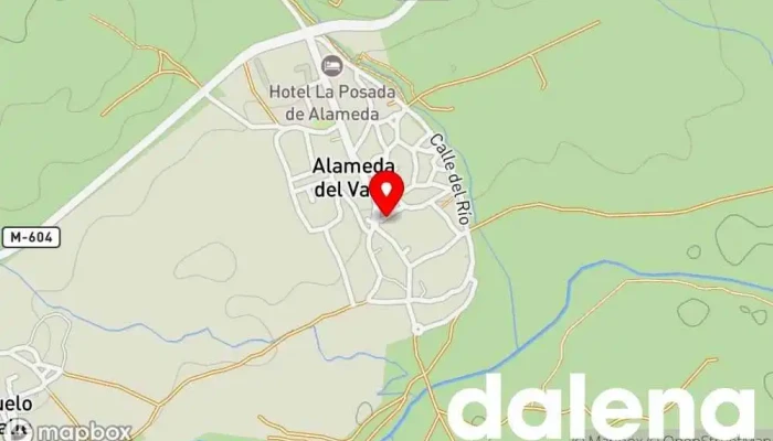 mapa de La Mandrágora Floristería en Alameda del Valle