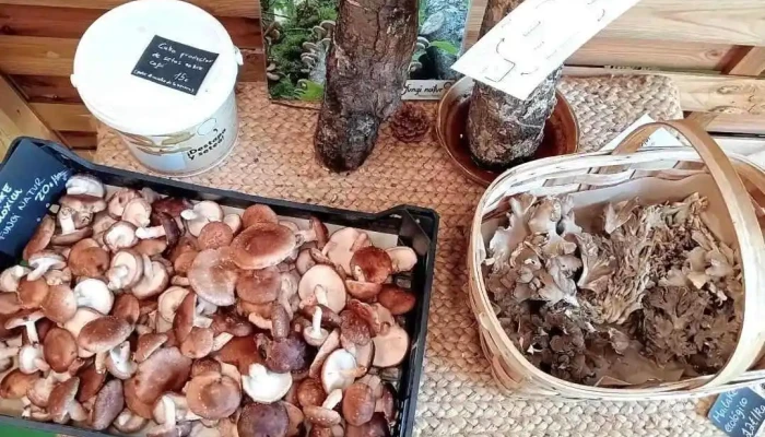 La Tiendina Agroecologica -  Del Propietario - Santolaya de Cabranes