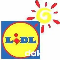 Lidl -  Del Propietario - Alcalá de Henares