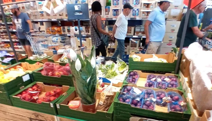 Lidl -  Fotos - San Lorenzo de El Escorial